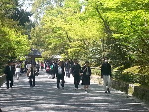 Small Group Tours to Japan