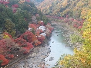 Arashiyama autumn leaves