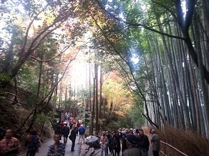 Arashiyama